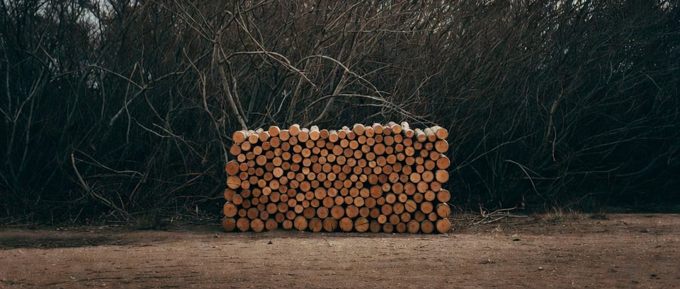 On Self-Imposed Rules