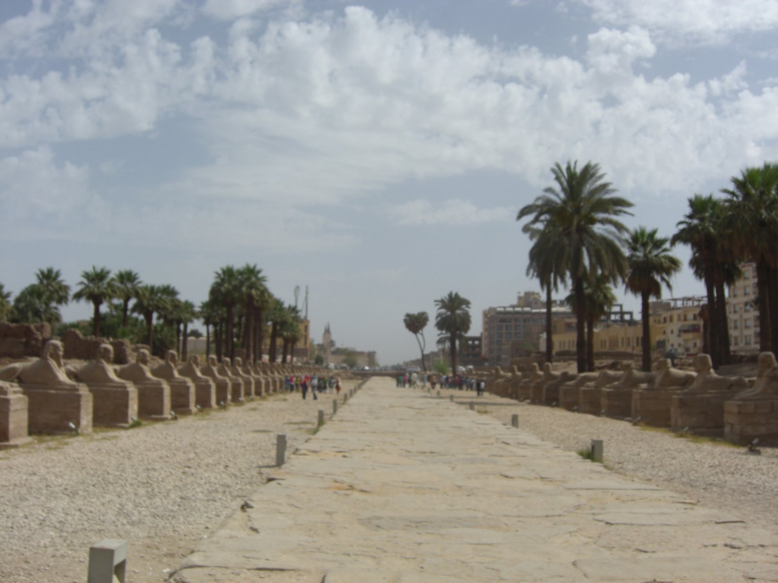 The Avenue of the Sphinxes stretching toward Luxor Temple, lined with sphinx statues and palm trees