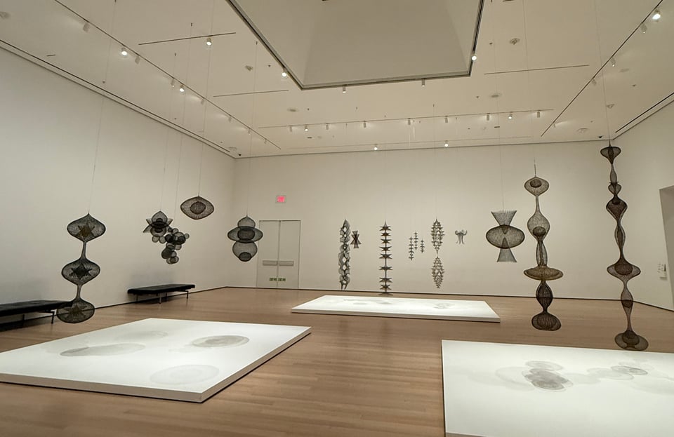 Black metal mesh sculptures by artist Ruth Asawa hangin contrast to a white-walled gallery at the Museum of Modern Art, New York City, January 2026.