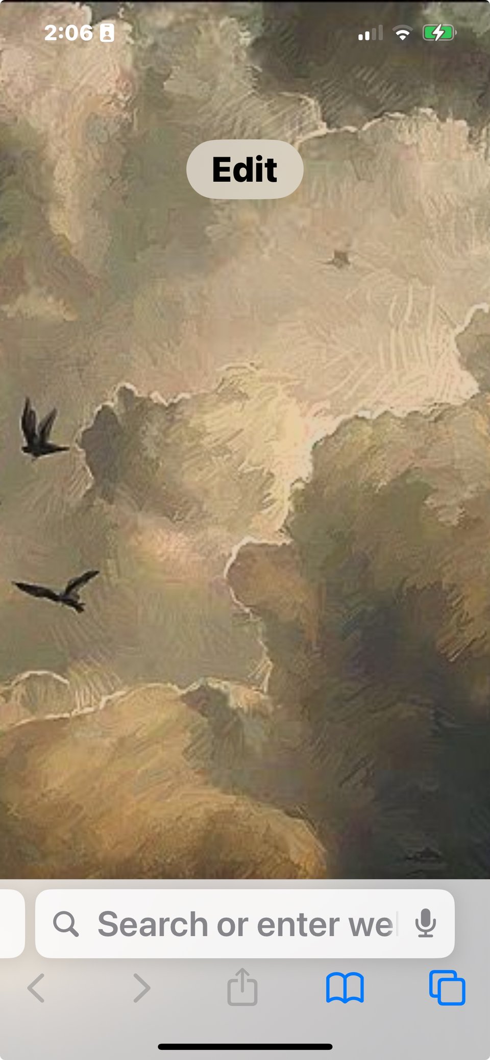 Screenshot of a blank start page in the Safari Browser, I added a painting of a cloudy sky with black birds flying across it.