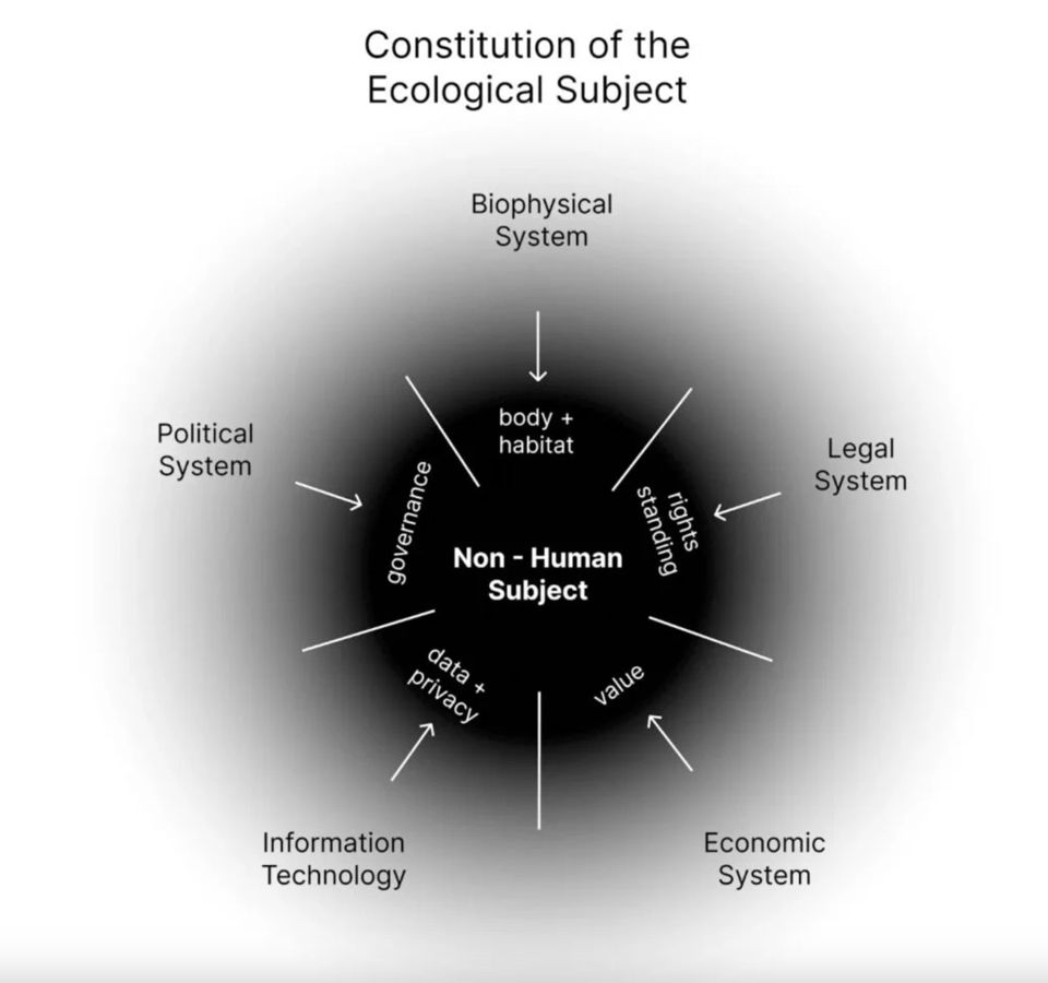 A black and white diagram with Non-Human Subject at the center and legal system, political system, information technology, etc. around the radius with arrows pointing inward.