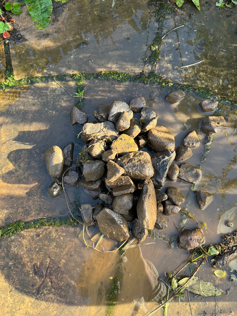 a heap of muddy stones on a patio