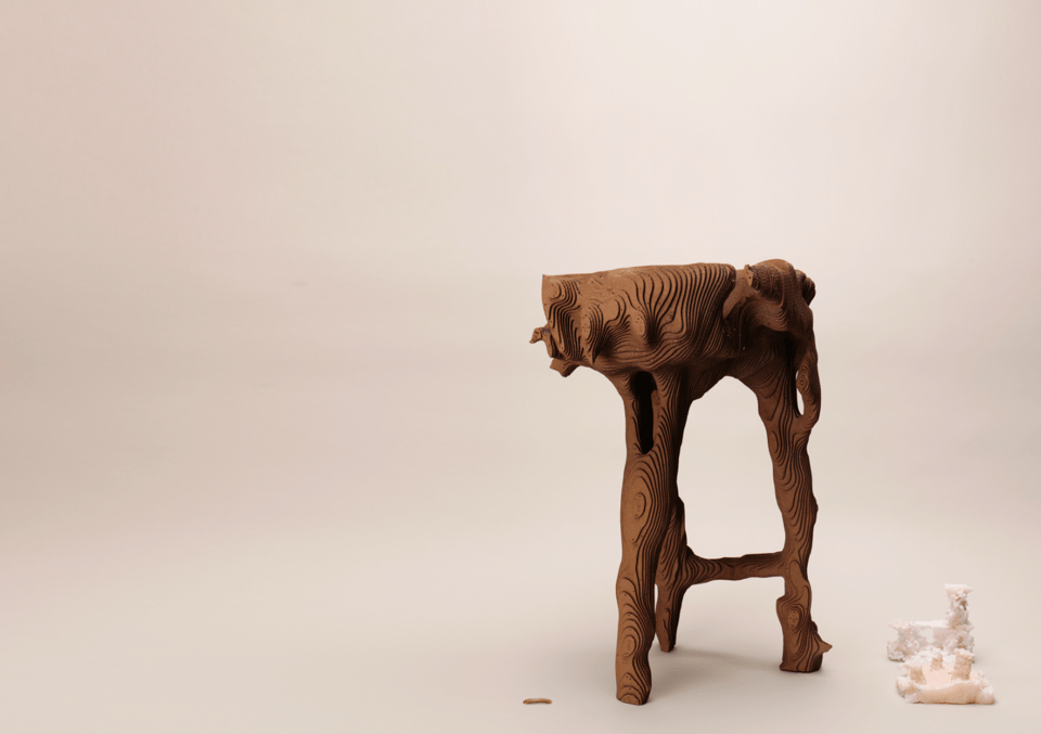 meal worm stool prototype