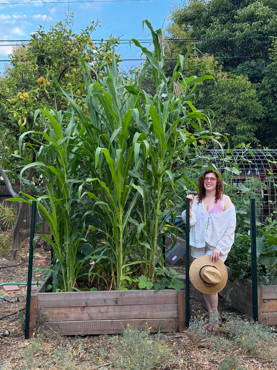 Letters from Flora: Summer Blooms