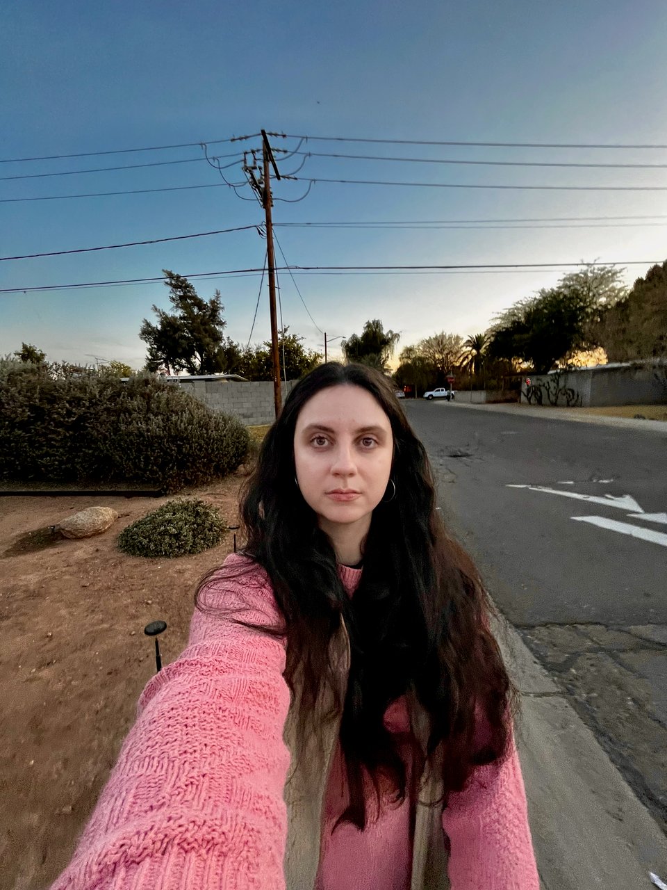 A selfie of Devin (a white woman with long brown hair) taken while walking in the mentioned neighborhood. Devin looks hungry for barrel cactus fruit and is wearing a pink sweater.