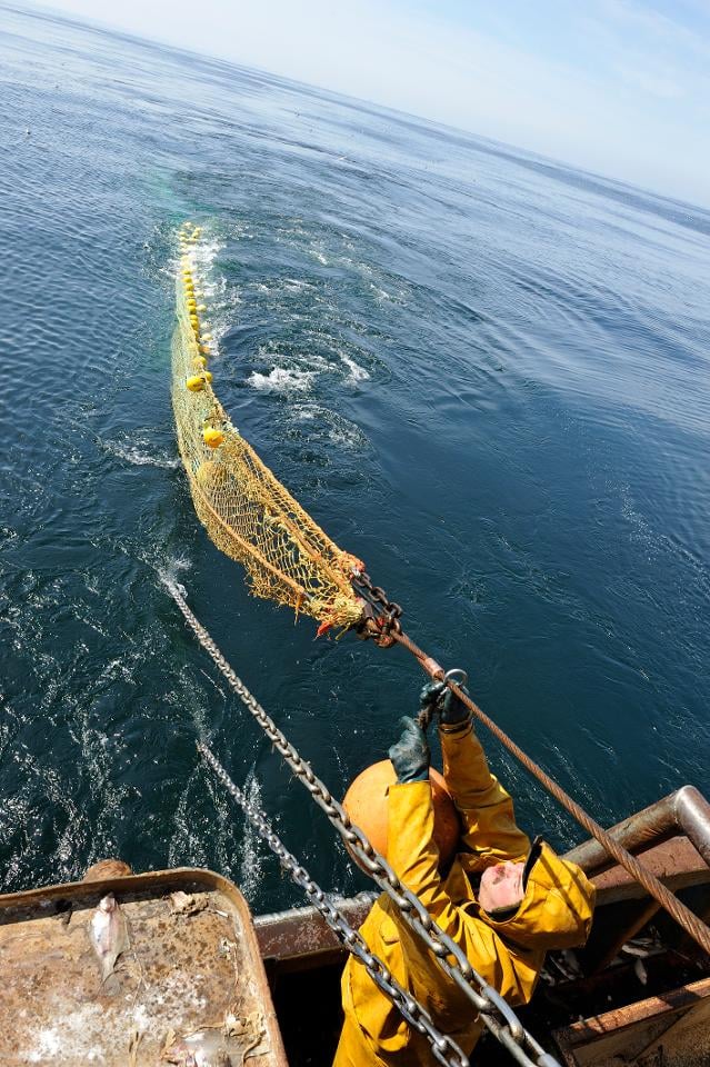 Dugornay Olivier (2011). Remorquage du chalut de fond depuis le Précurseur (filet en surface). Ifremer.