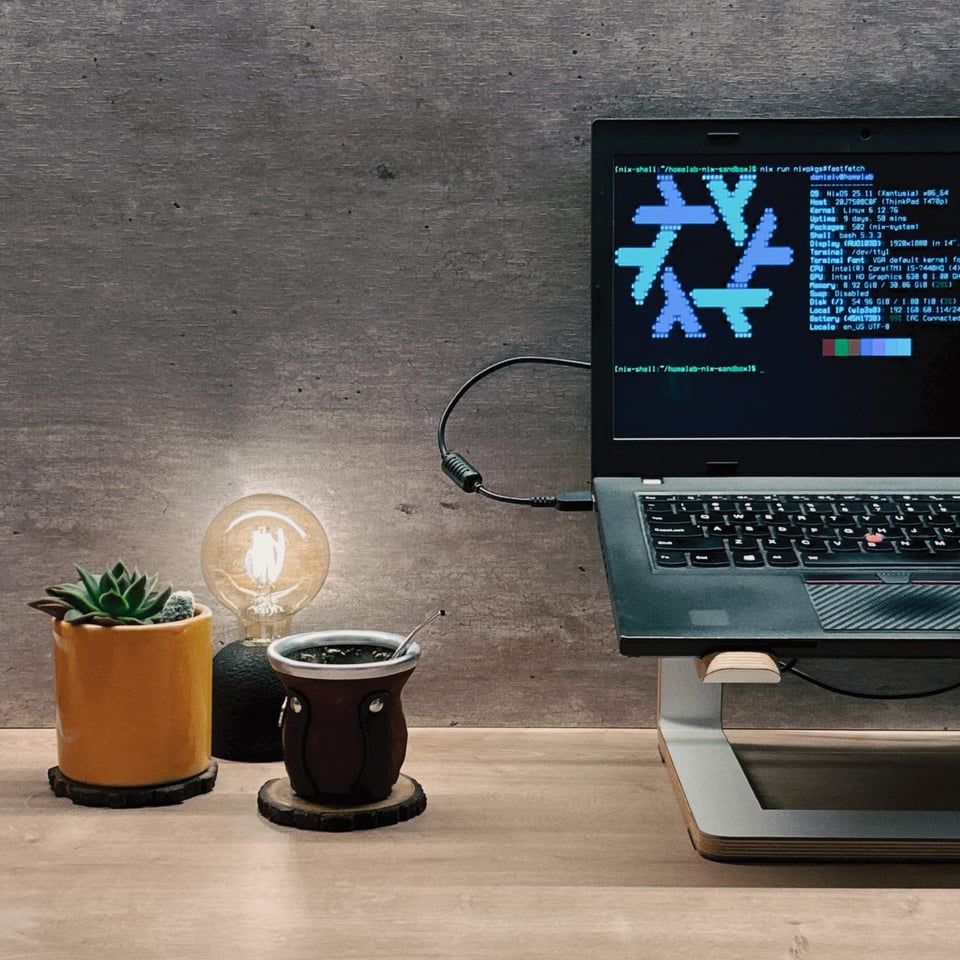 A plant, a light, yerba mate, and a laptop.