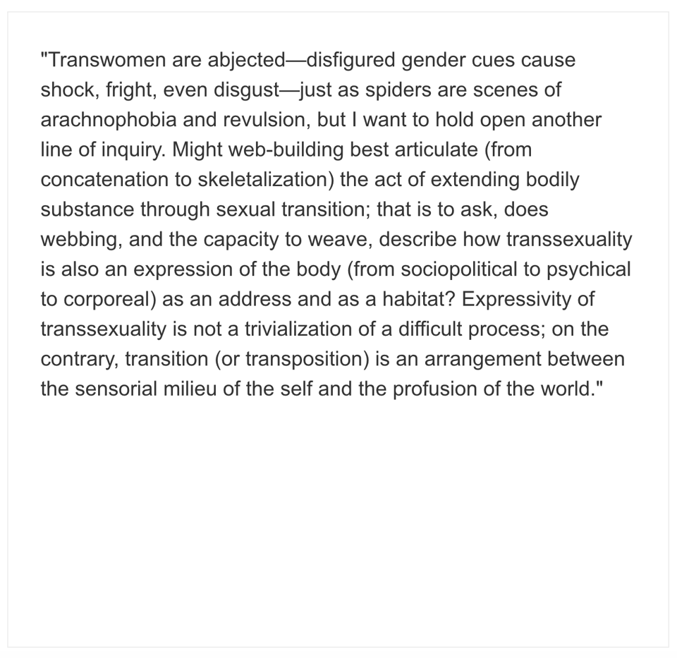 A long passage from the essay, which begins: Transwomen are abjected — disfigured gender cues cause shock, fright, even disgust — just as spiders are scenes of arachnophobia and revulsion.