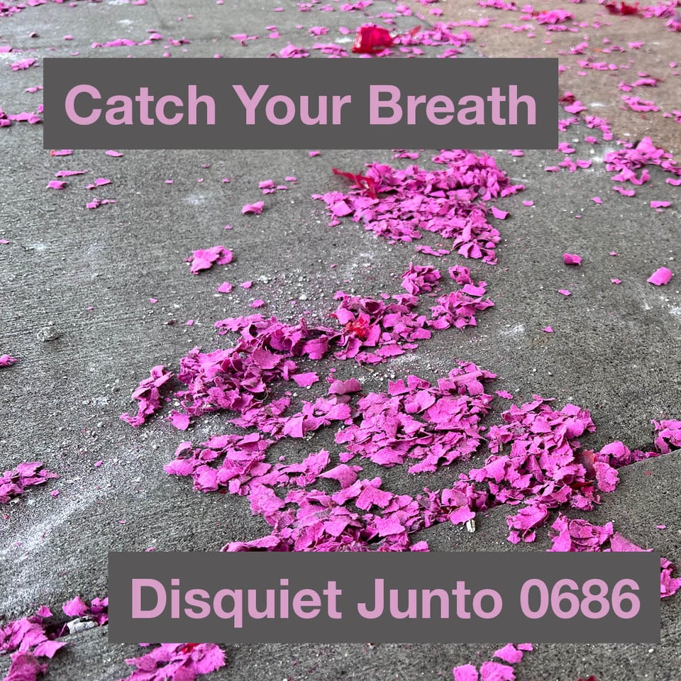 It shows the bright pink remainders of Lunar New Year fireworks, plus the name and number of the project