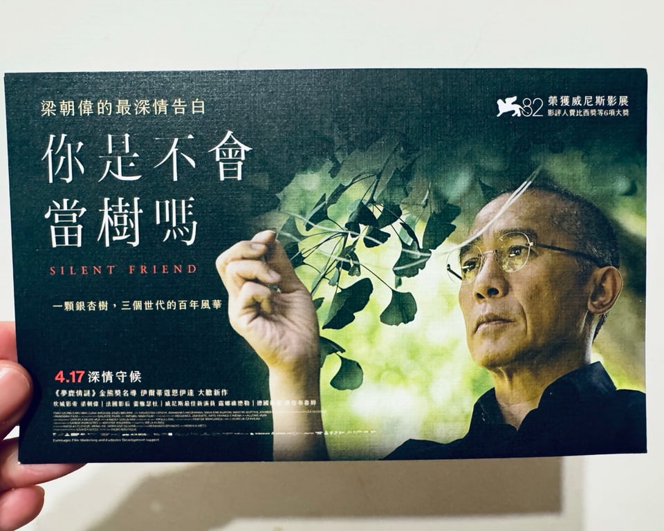 梁朝偉出演的電影《你是不會當樹嗎？》小卡