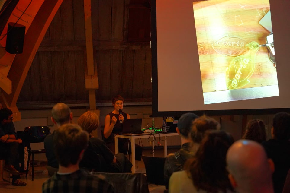 An artist presenting their work in front of an audience