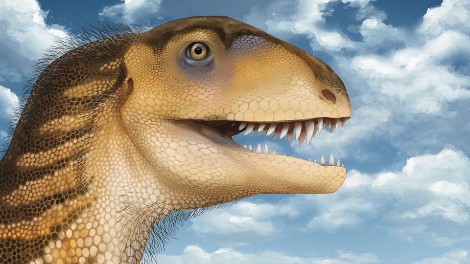 An artistic representation of a boxy-skulled carnivorous dinosaur, in pale tans, with dark stripes, and purple around the eye. A cloudy blue sky is in the background.