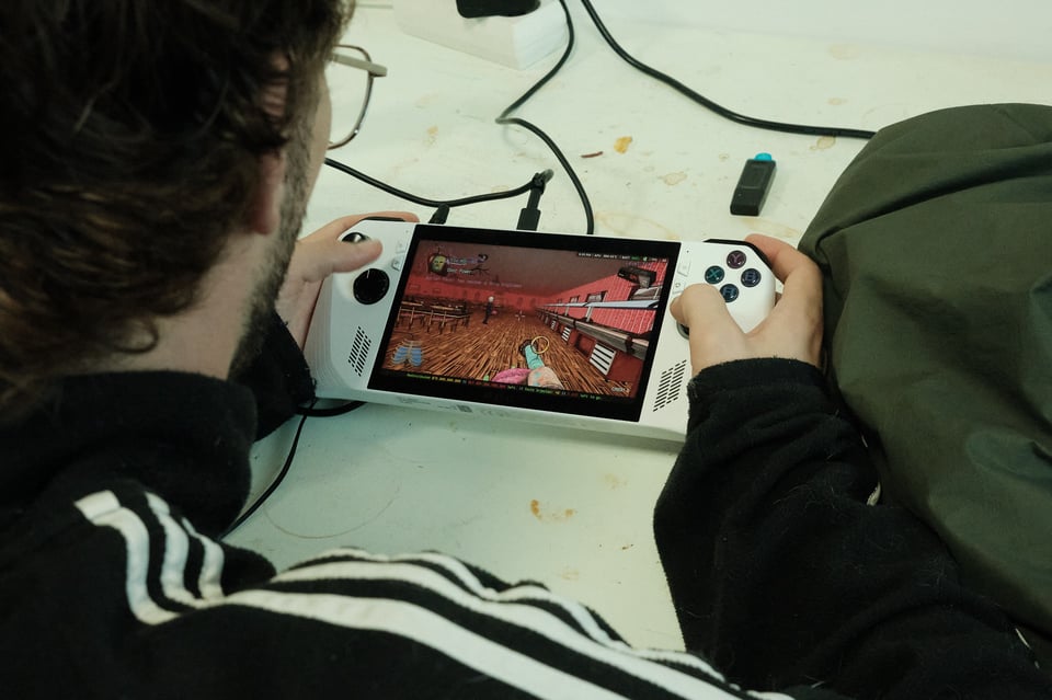 A person playing a video game