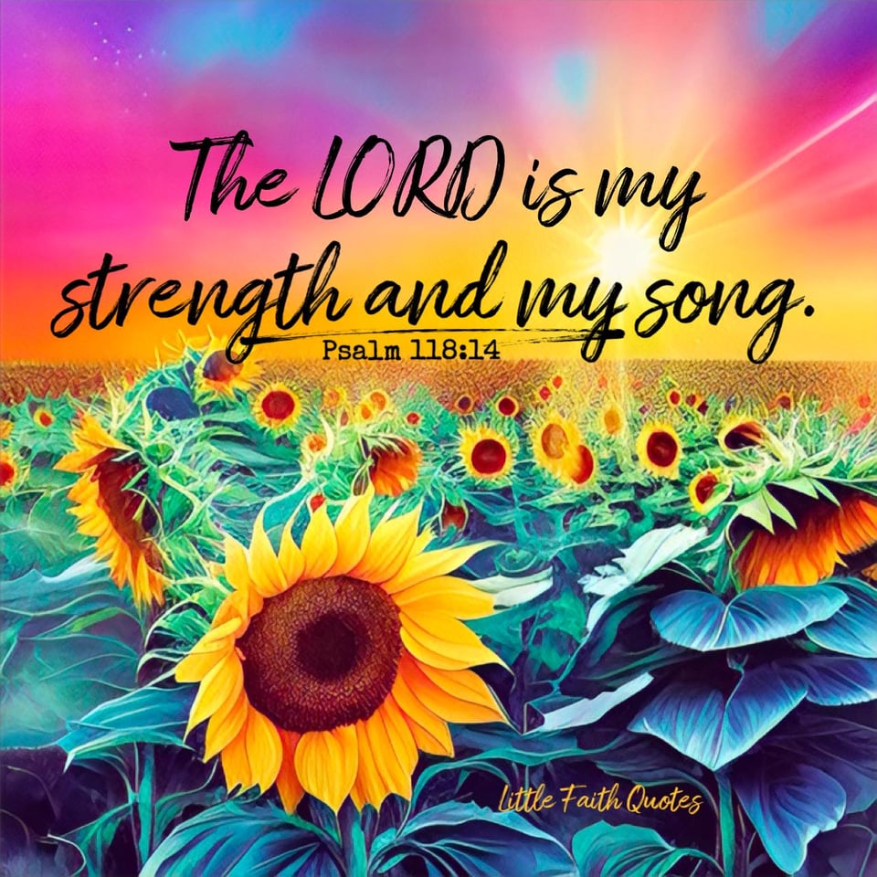 "The LORD is my strength and my song." ~Psalm 118:14. The sun sets in a hot pink and yellow sky. A field of beautiful sunflowers stretches as far as the eye can see. Image by: @Little Faith Quotes.