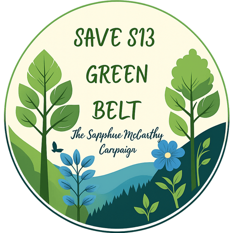 Save S13 green belt logo