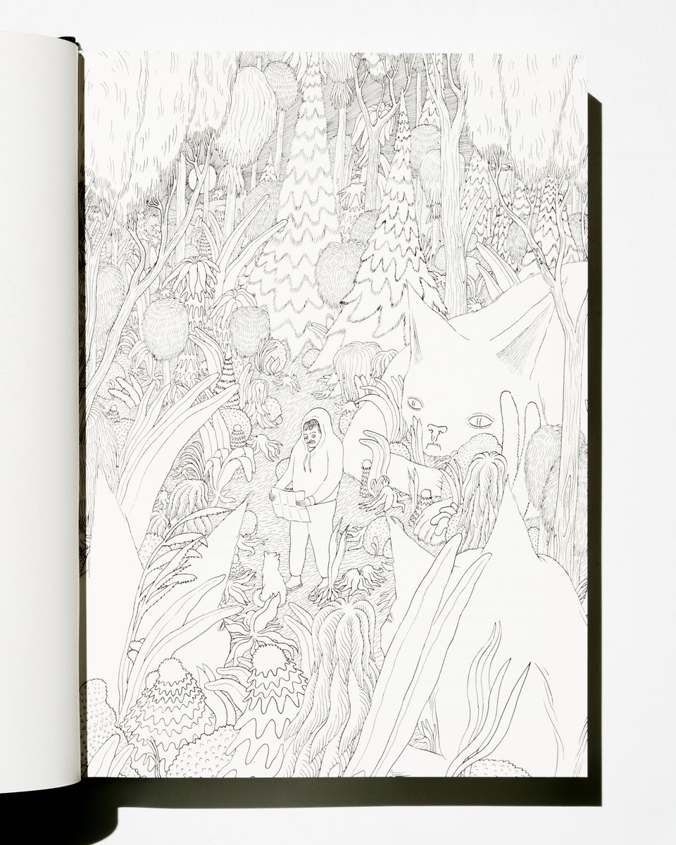 A page from Conditions on the Ground by Kevin Hooyman