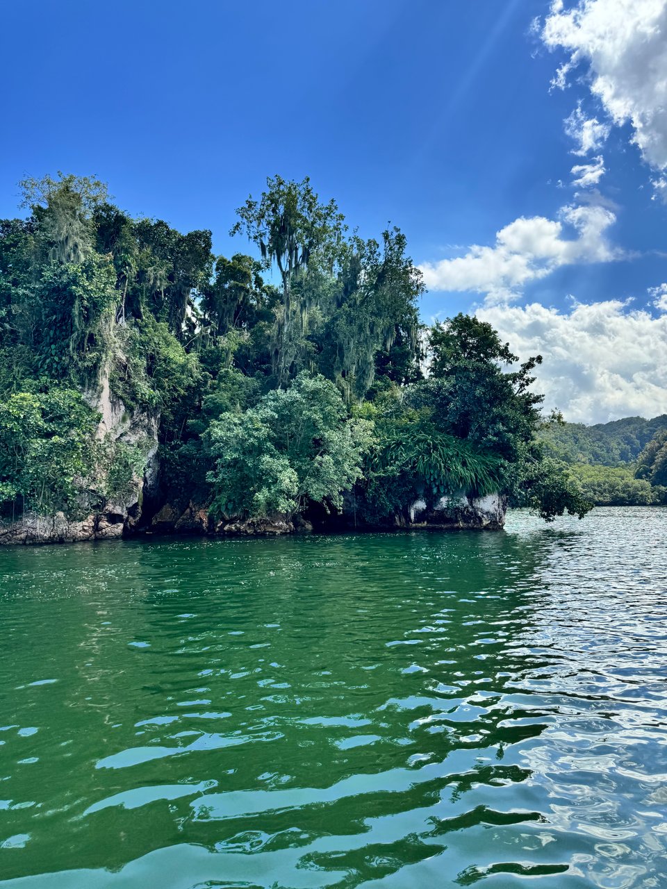 Island covered in lush green vegetation on a turquoise body of water under a partly cloudy blue sky.