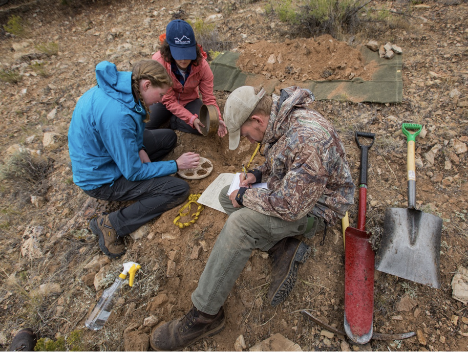 Three people sitting on the group around a shallow soil pit describing the properties of the soil. One person is holding a sieve, one person is writing notes, one person is handling the soil. Two shovels are nearby.