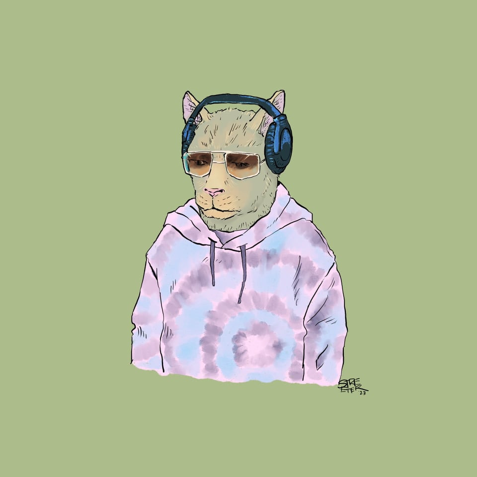 Color illustration of a cool cat in shades and earphones and a tie-dye hoodie