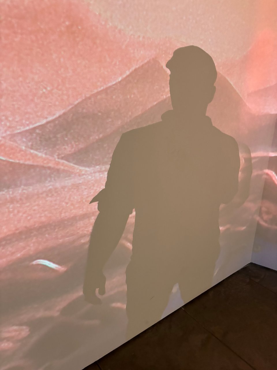 MW at the gallery