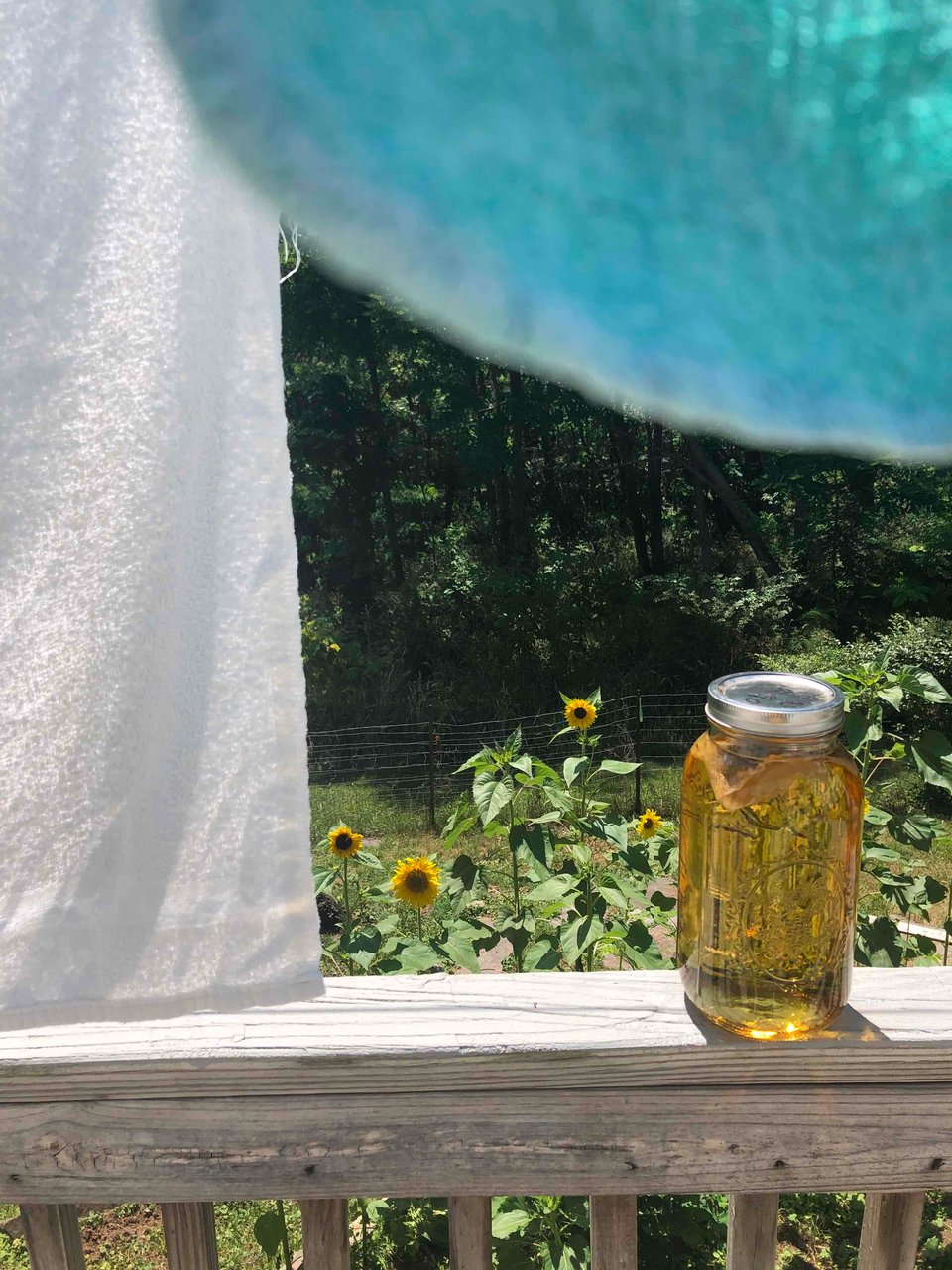 Summertime...and the living is...weird