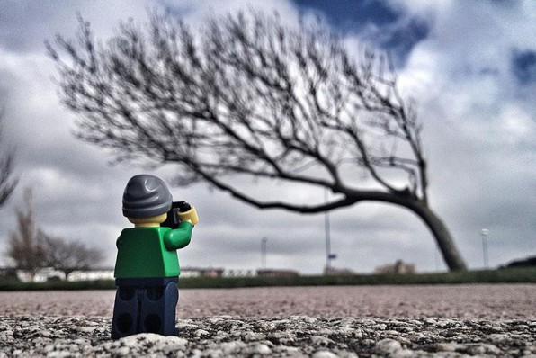 It's a photo of a lego man taking a photo of a tree that's kind of bent over.