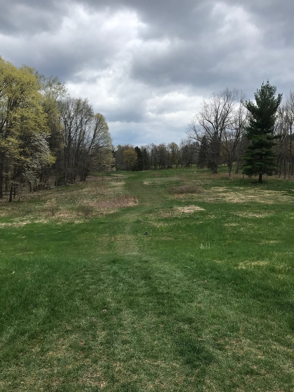 The muddy hills, as seen on a cloudy summer day. The grass is green.