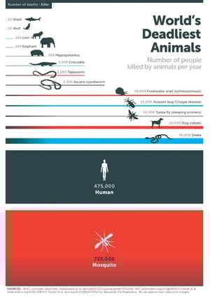 bill-gates-deadliest-animal