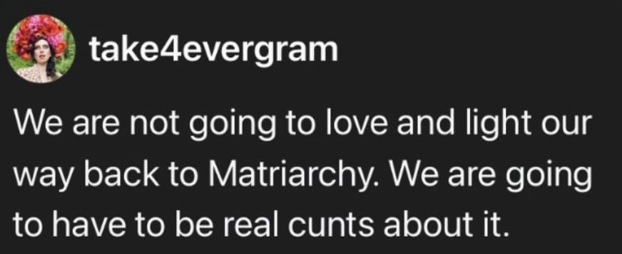 Threads screenshot.
take4evergram:
We are not going to love and light our way back to Matriarchy. We are going to have to be real cunts about it.