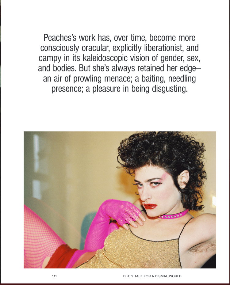 Peaches reclining, pink fishnet stockings and fingerless gloves. Nipples showing through gold-glitter tank top. Red lips, pink-studded dog color. Block quote above from CULTURED profile.