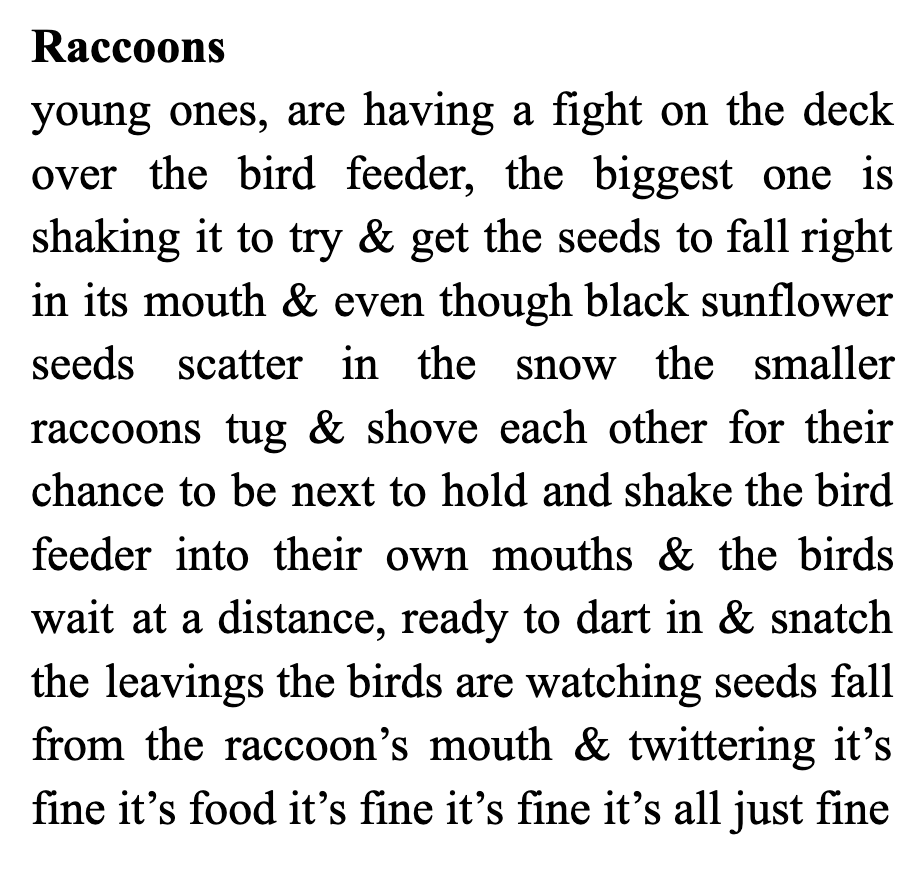 A poem shared in a block of text for formatting purposes, which reads: Raccoons young ones, are having a fight on the deck over the bird feeder, the biggest one is shaking it to try & get the seeds to fall right in its mouth & even though black sunflower seeds scatter in the snow the smaller raccoons tug & shove each other for their chance to be next to hold and shake the bird feeder into their own mouths & the birds wait at a distance, ready to dart in & snatch the leavings the birds are watching seeds fall from the raccoon’s mouth & twittering it’s fine it’s food it’s fine it’s fine it’s all just fine
