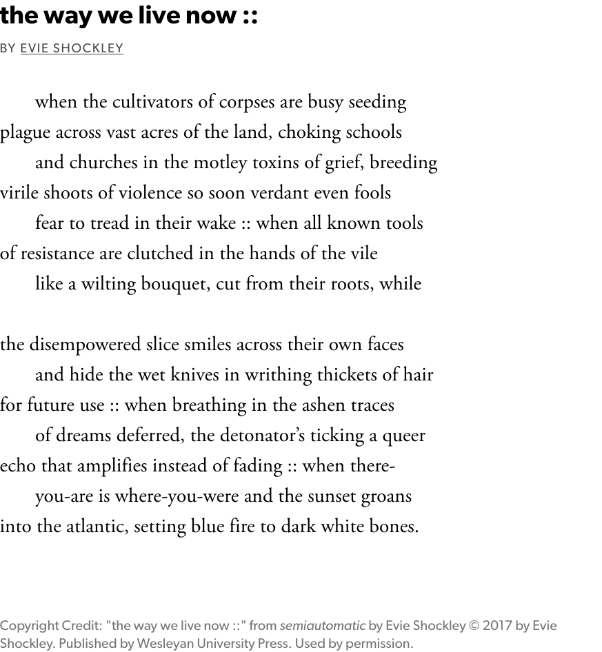text of Evie Shockley's poem