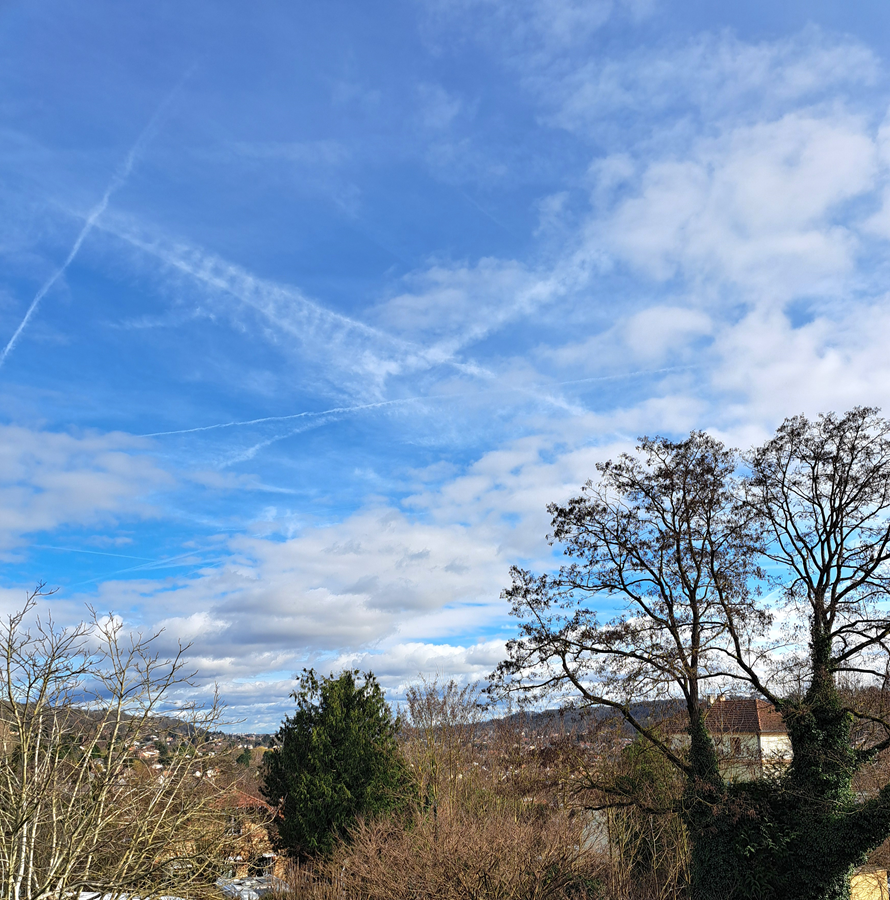 This Sunday's hangouts