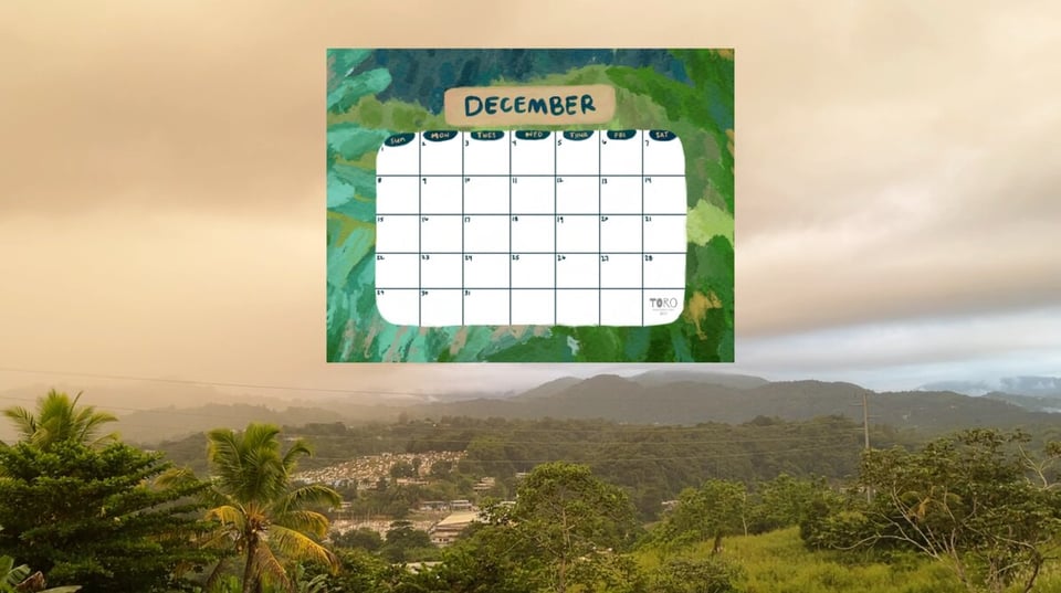 Still from the video newsletter of the printable calendar and Puerto Rican landscape.