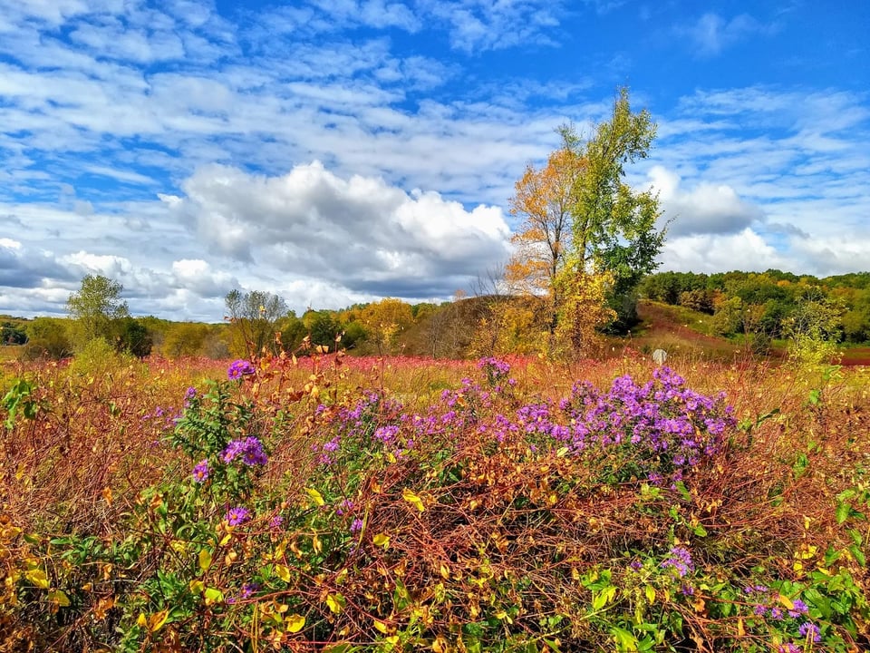 Frontenac State Park welcomes throngs of beauty-seeking visitors in the fall, especially on weekends. You can see why in this photo by park manager Jake Gaster.