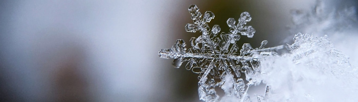 a close-up of a snowflake