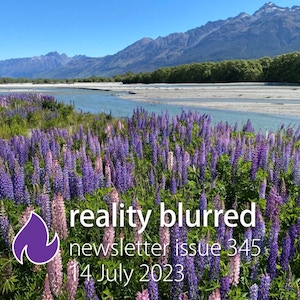 A field of narrow, tall purple and pink flowers, with a stream and mountains in the background. The words 'reality blurred newsletter issue 345, 14 July 2023' are at the bottom