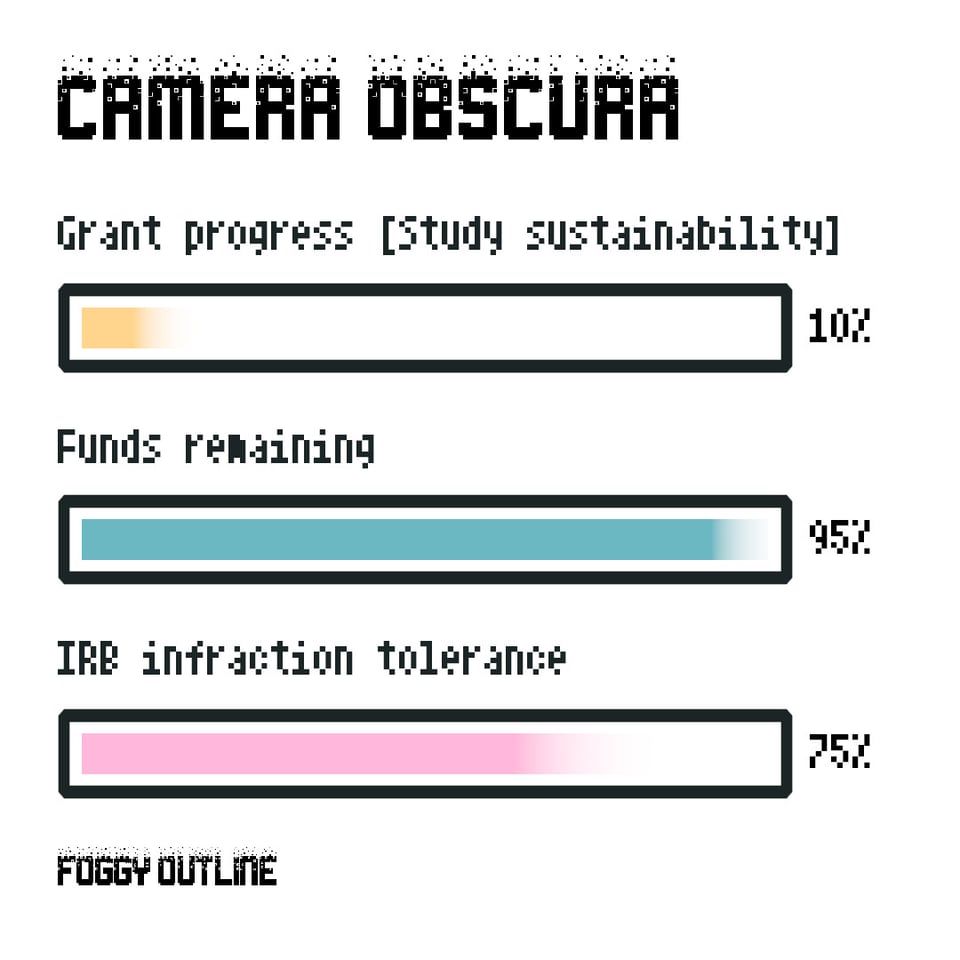 Foggy Outline presents Camera Obscura. Grant progress or study sustainability: ten percent. Funds remaining: ninety-five percent. IRB infraction tolerance: seventy-five percent.