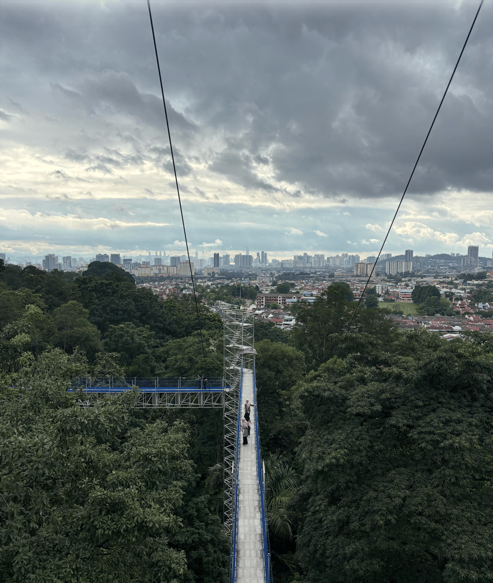 a glorious treetop view that shows a city far in the distance