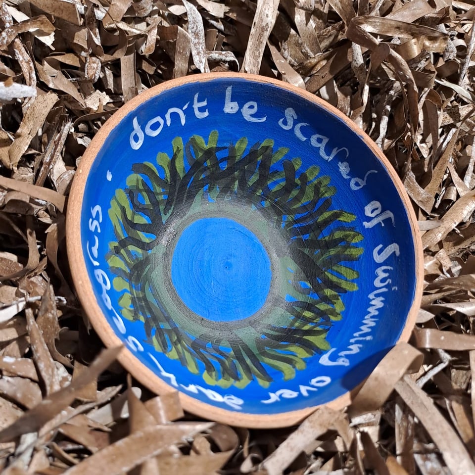 A close-up image of Vessel's installation at the Venice Biennale: a plate painted with the legend "Don't be afraid to swim over seagrass"