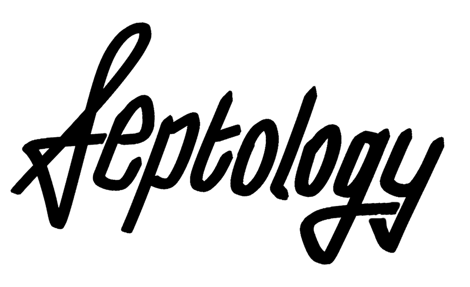 Septology Vol. III, No. 1: Timbo's