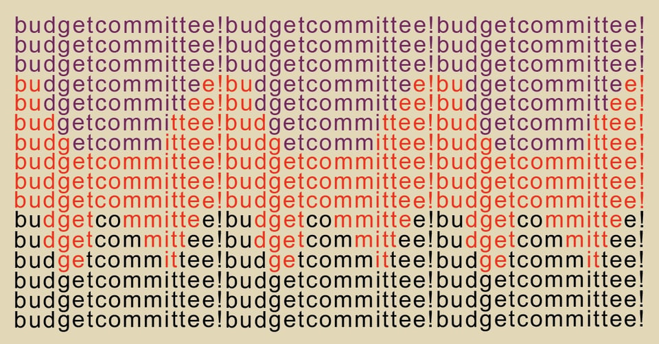 Announcing: Budget Committee!