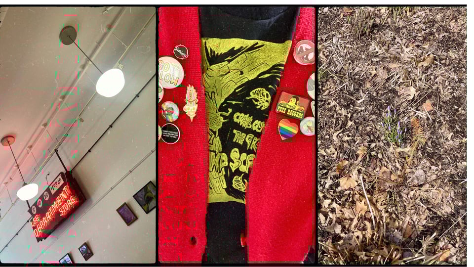 grid with 3 photos. L-R: a vintage neon department store sign hanging in a dining room; close view of D wearing a red sweater covered in buttons and a shirt with a cicada print that says "crawl out of the ground and scream"; a mostly-bare patch of earth with two tiny crocus buds.