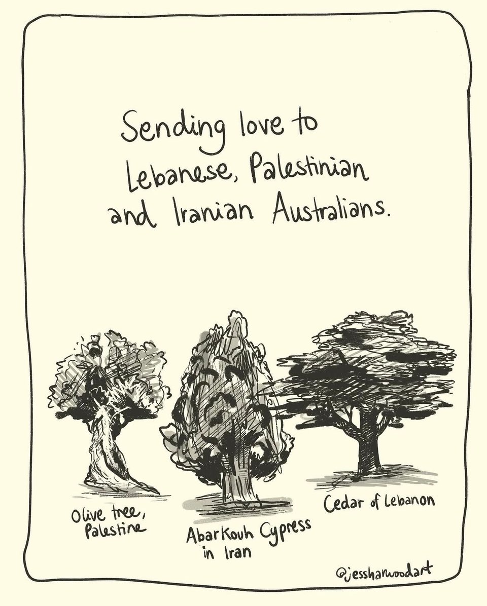 A hand-drawn image by Jess Harwood, showing an olive tree from Palestine, an AbarKouh Cypress in Iran, and the Cedar of Lebanon.