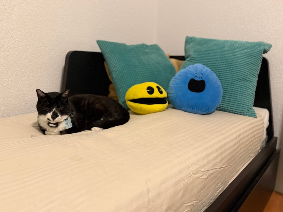 A cat lays on a bed with pillows and two stuffed toys.