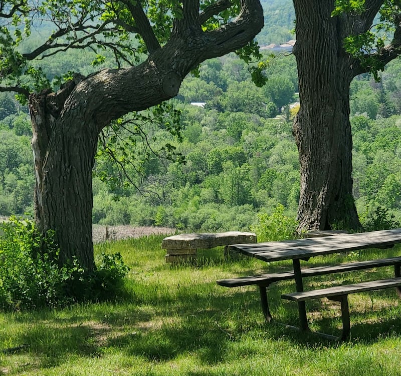 This sweet picnic spot sits at a confluence of trails above so-called Waconia Bluff in the newly acquired state park tract northwest of Hill Avenue. FSPA and Great River Greening volunteers recently worked there to clear out invasives. / Photo by Deane Karli