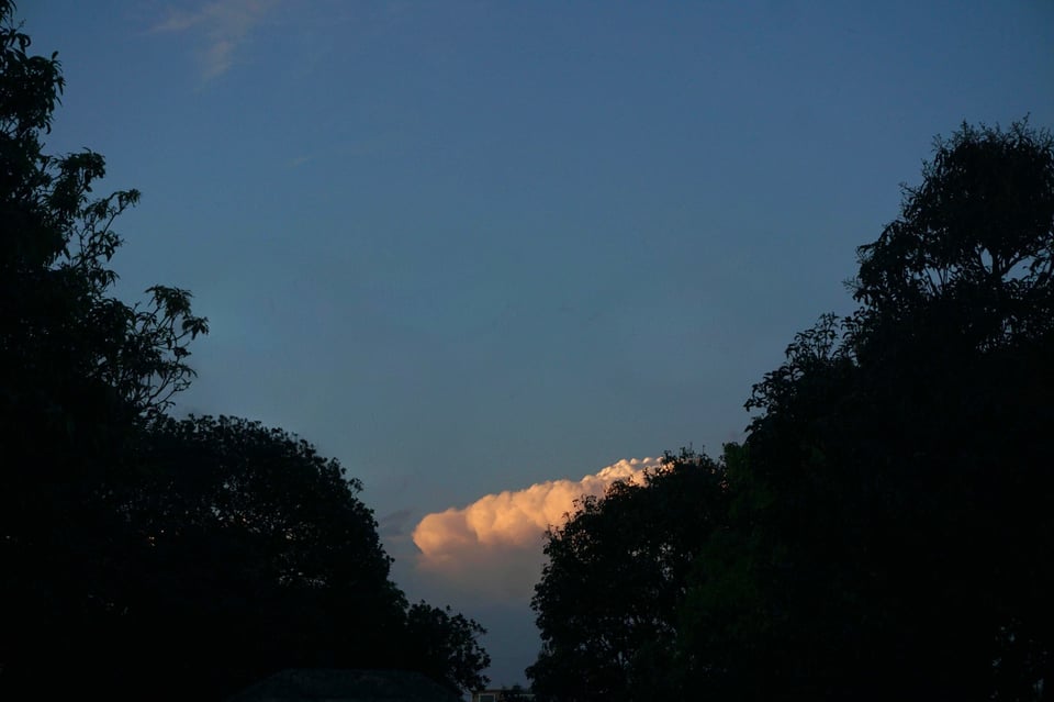 A lone cloud illuminated by the evening sun with orange hues peeking through two tree-lines on either side making a v shape. The cloud is in the middle partially hidden by the tree-line