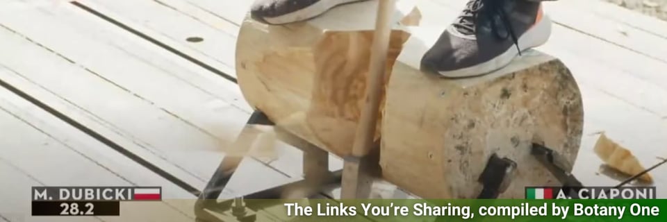 An axe being used to chop a log that a competitor is standing on.