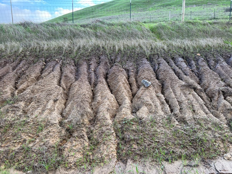 rill erosion SLO.jpg