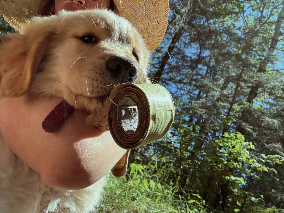 mashmallow-freyja-bark.jpg